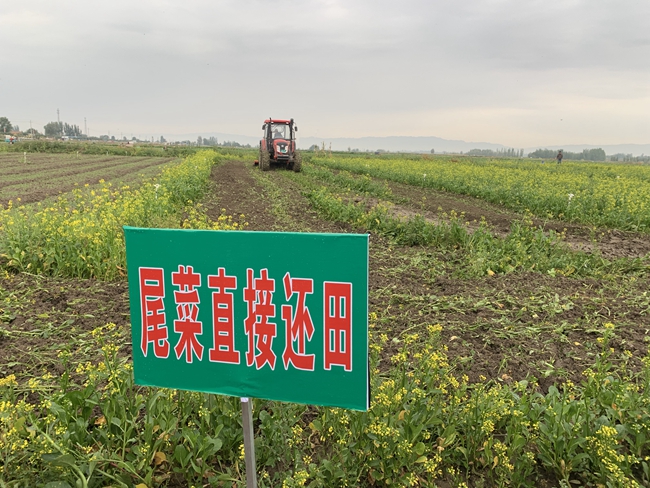 養(yǎng)殖場糞污環(huán)保處理的常用方法有哪些？